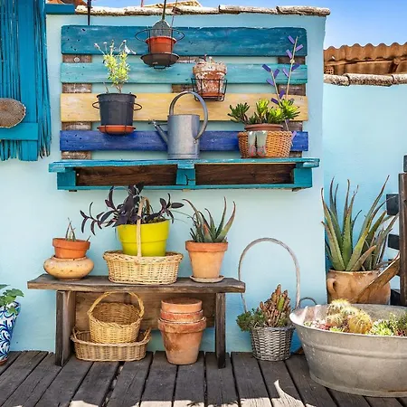 La Lechuga Azul